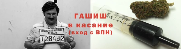 дмт Алзамай